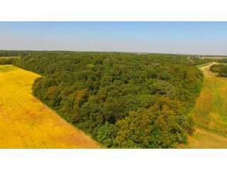 Property photo 3 - MAJOR ILLINOIS LAND AUCTION - 752.54+/- ACRES OFFERED IN 9 TRACTS IN KANKAKEE COUNTY, ILLINOIS